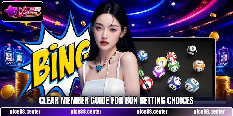 Clear member guide for Box betting choices Clear member guide for Box betting choices