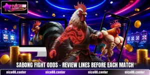 Sabong Fight Odds - Review Lines Before Each Match