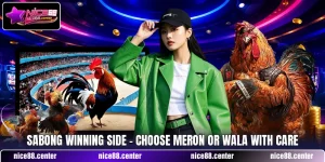 Sabong Winning Side - Choose Meron Or Wala With Care